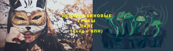 ECSTASY Алексин
