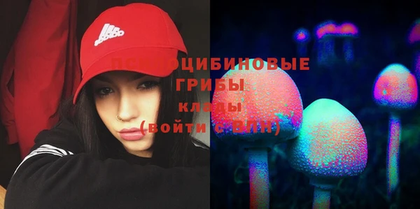 ECSTASY Алексин