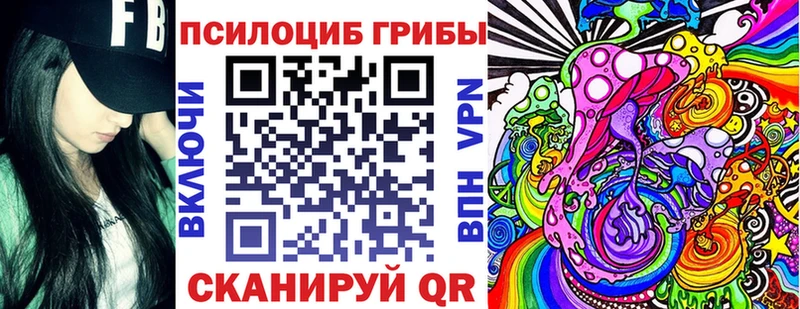 Псилоцибиновые грибы GOLDEN TEACHER  маркетплейс какой сайт  Новоаннинский 