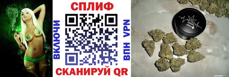 Шишки марихуана марихуана  Новоаннинский 